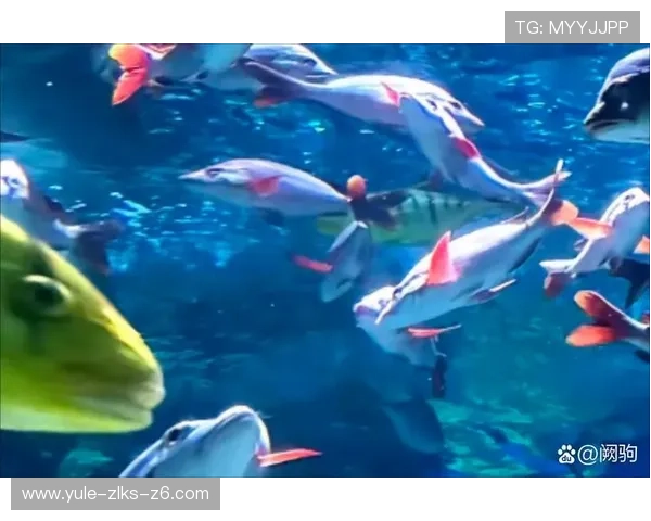 亚搏捕鱼：多样化的捕鱼玩法与丰富的奖励机制带你领略海底世界的魅力