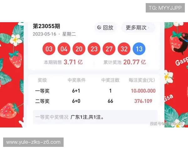 开云彩票软件下载指南帮助新用户快速注册与操作技巧