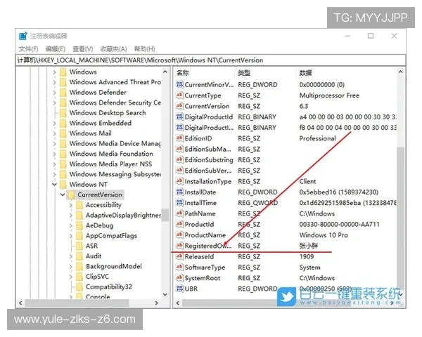 Z6尊龙集团官方网站的注册流程与账户管理操作指南