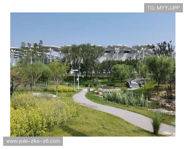 尊龙集团推动绿色游戏开发与可持续发展理念的具体措施